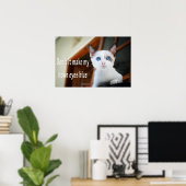 Funny Animal Memes Cat Memes Humore Fotos Poster (Heimbüro)