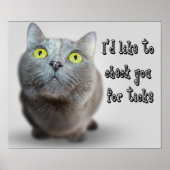 Funny Animal Memes Cat Memes Humore Fotos Poster (Vorne)