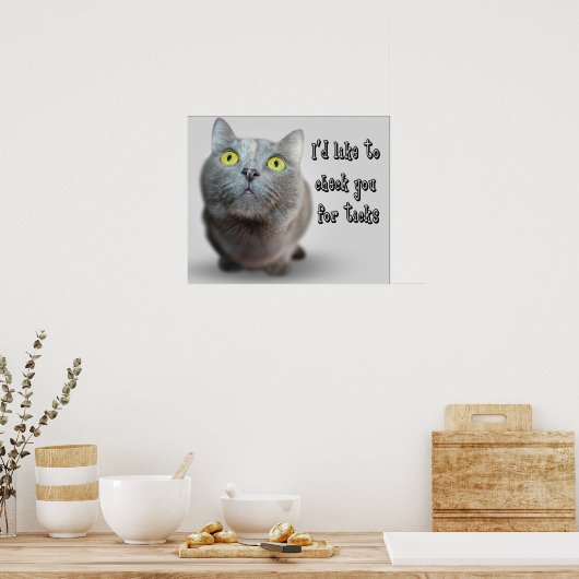 Funny Animal Memes Cat Memes Humore Fotos Poster (Küche)