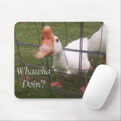 Funny Animal Pictures Maus Pad Mousepad (Mit Mouse)