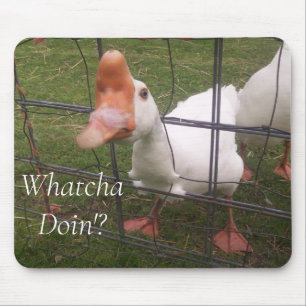 Funny Animal Pictures Maus Pad Mousepad