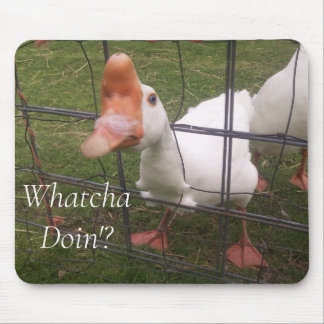 Funny Animal Pictures Maus Pad Mousepad