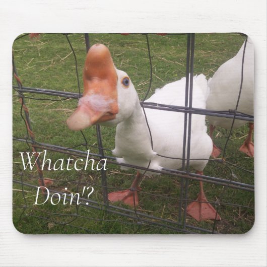 Funny Animal Pictures Maus Pad Mousepad (Vorne)