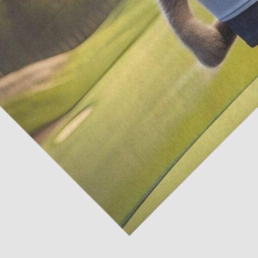 Funny Animated Cat Golf Player, Seidenpapier (Detail)