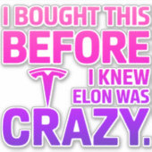 Funny Anti-Elon Musk Vinyl Sticker for Cars & Wind (Vorderseite)