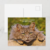 Funny Anti-Trump Cat studiert Trumps Haar Postkarte (Vorne/Hinten)