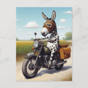 Funny Appaloosa Mule auf einem Motorrad Postkarte