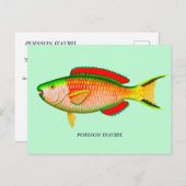 Funny April Fools Day Postcard - Kartenrücklesen Postkarte (Vorne/Hinten)