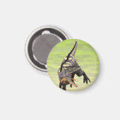 Funny Aucasaurus Dinosaur - Perfekt für Dino Lover Magnet (Vorderseite/Rückseite)