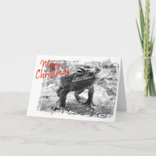 Funny Australian Christmas Grußkarte Karte