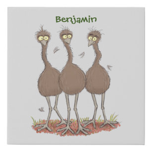 Funny Australian emu trio Cartoon Illustration Künstlicher Leinwanddruck