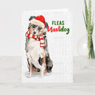 Funny Australian Shepherd Dog Fleas Navidog Feiertagskarte