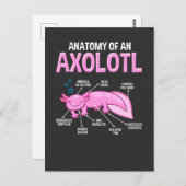 Funny Axolotl Anatomie Biologie Niedlich Amphibien Postkarte (Vorne/Hinten)