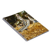 Funny Baby Bearded Dragon, Notebook Notizblock (Rechte Seite)