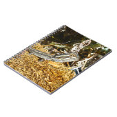 Funny Baby Bearded Dragon, Notebook Notizblock (Linke Seite)