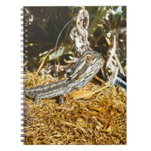 Funny Baby Bearded Dragon, Notebook Notizblock
