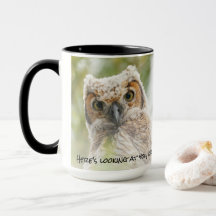 Funny Baby Owl Yellow Eyes Blickt dich an