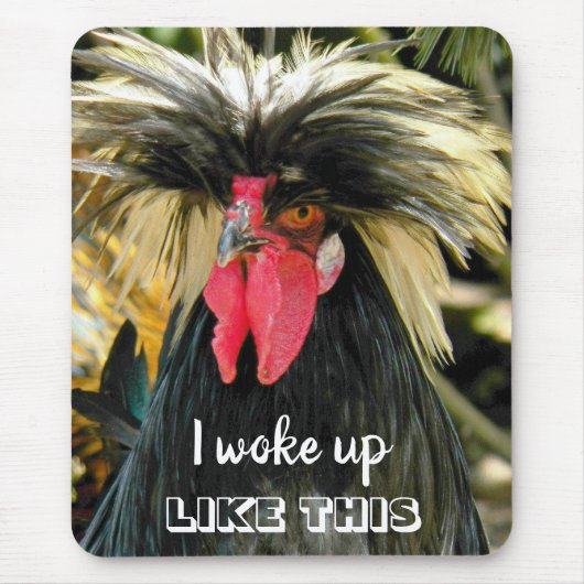 Funny Bad Hair Chicken Foto Meme Mousepad (Vorne)