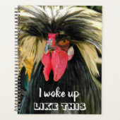 Funny Bad Hair Chicken Foto Meme Planer (Vorderseite)