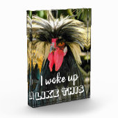 Funny Bad Hair Chicken Meme Fotoblock (Links)