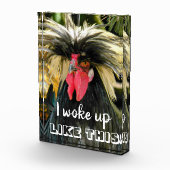 Funny Bad Hair Chicken Meme Fotoblock (Rechts)