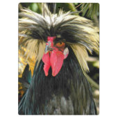 Funny Bad Hair Day Chicken Meme Klemmbrett (Rückseite)