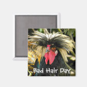 Funny Bad Hair Day Chicken Meme Magnet (Vorderseite/Rückseite)