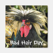 Funny Bad Hair Day Chicken Meme Magnet (Vorne)
