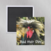 Funny Bad Hair Day Chicken Meme Magnet