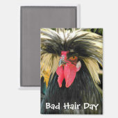 Funny Bad Hair Day Chicken Meme Magnet (Vorderseite/Rückseite)