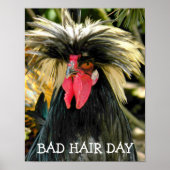 Funny Bad Hair Day Chicken Meme Poster (Vorne)