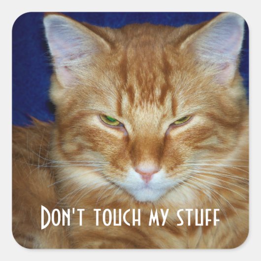 Funny Bad Mood Tabby Cat Sticker (Vorderseite)