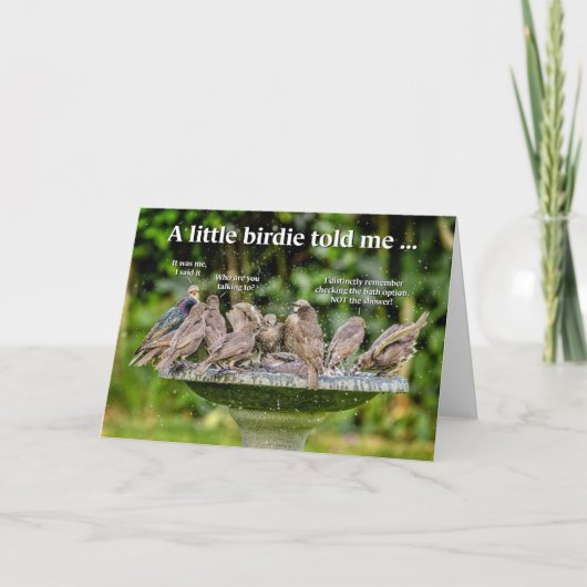 Funny Bade Birds Geburtstagskarte Karte (Vorderseite)