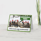 Funny Bah Humbug Feiertagskarte (Rückseite)