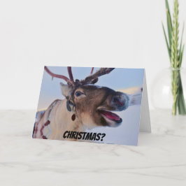 Funny Bah Humbug Reindeer Weihnachtskarte Karte