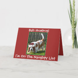 Funny "Bah Humbug" Weihnachtskarte mit Basset Houn Feiertagskarte