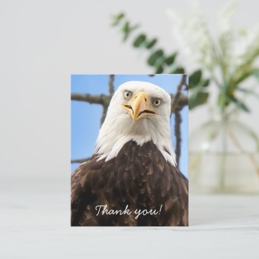 Funny Bald Eagle Face Wildlife Danke (Stehend Vorderseite)