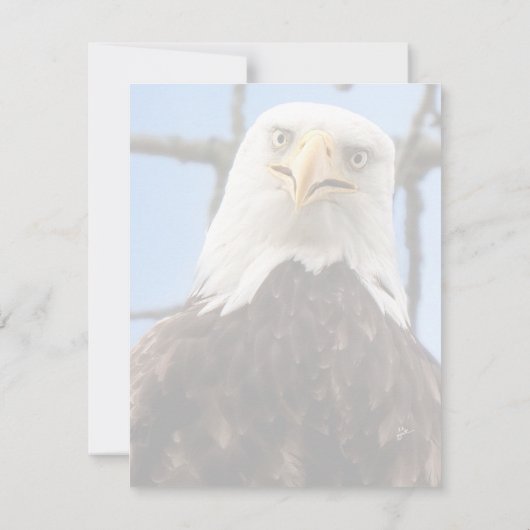 Funny Bald Eagle Face Wildlife Danke (Rückseite)