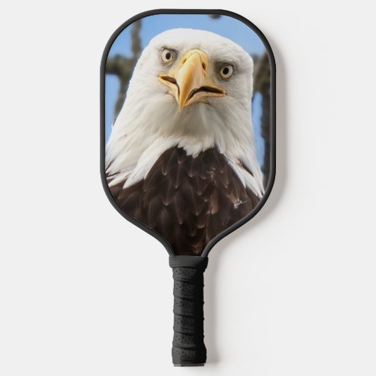 Funny Bald Eagle Face Wildlife Fotografy Pickleball Schläger (Vorderseite)