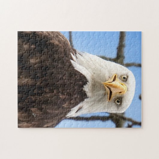 Funny Bald Eagle Face Wildlife Fotografy Puzzle (Horizontal)