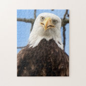 Funny Bald Eagle Face Wildlife Fotografy Puzzle (Vertikal)