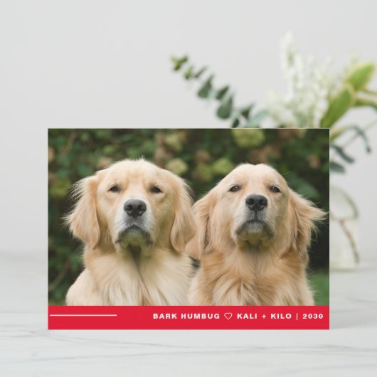 Funny Bark Humbug Dog Foto Weihnachten Personalisi (Stehend Vorderseite)