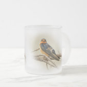 Funny Barn Swallow Songbird Stadion am Fuß des Hl Mattglastasse (VorderseiteRechts)