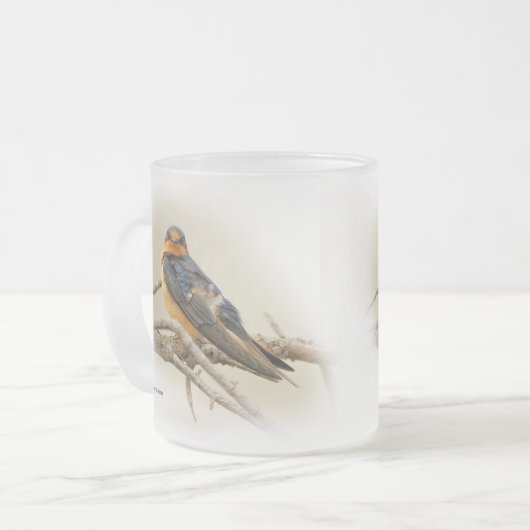 Funny Barn Swallow Songbird Stadion am Fuß des Hl Mattglastasse (Vorderseite Links)