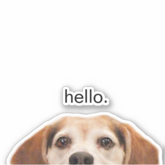 Funny Beagle Hund Halbzeit Hallo Aufkleber