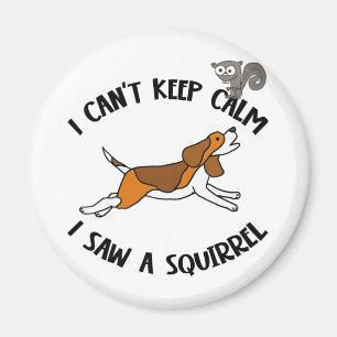 Funny Beagle Hund Jagen Eichhörnchen Magnet