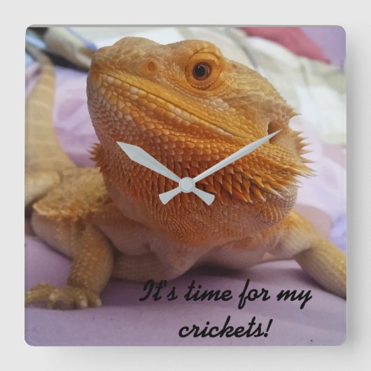 Funny Bearded Dragon Picture Design Quadratische Wanduhr (Vorderseite)