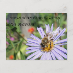 Funny Bee Postcard Postkarte