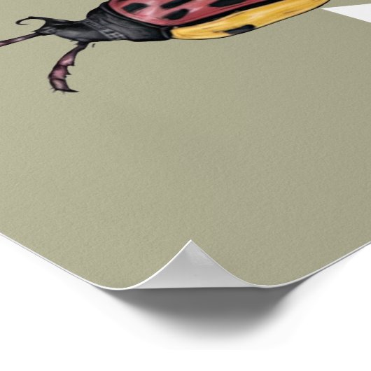 Funny Beetles Poster (Ecke)