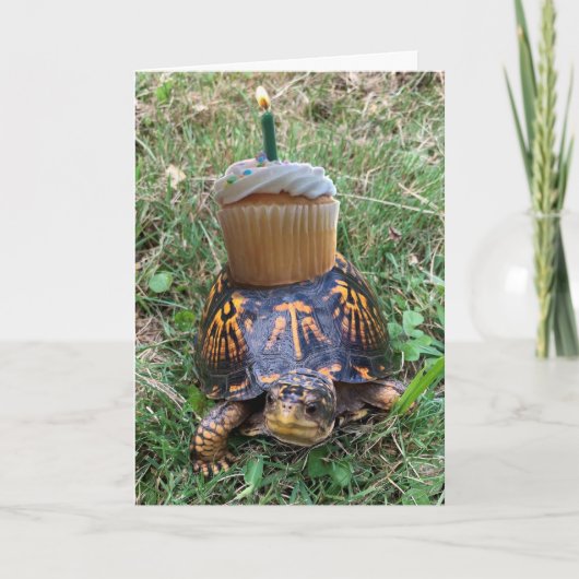 Funny Belated Birthday Card Karte (Vorderseite)